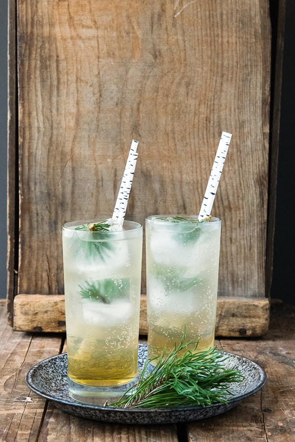 Pine Whiskey Cooler cocktail in a tall glass with ice and pine sprig 