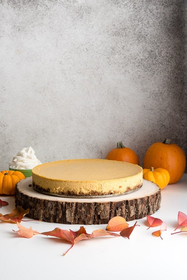 Easy recipe Pumpkin Cheesecake on wood bark cake plate with mini pumpkins and fall leaves 