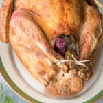 cooked trussed roasted turkey
