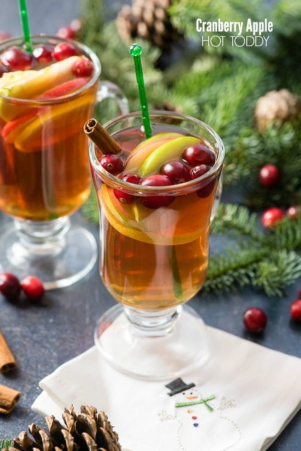  Cranberry Apple Hot Toddy cocktail with apple slices, cinnamon stick and cranberries in a glass mug