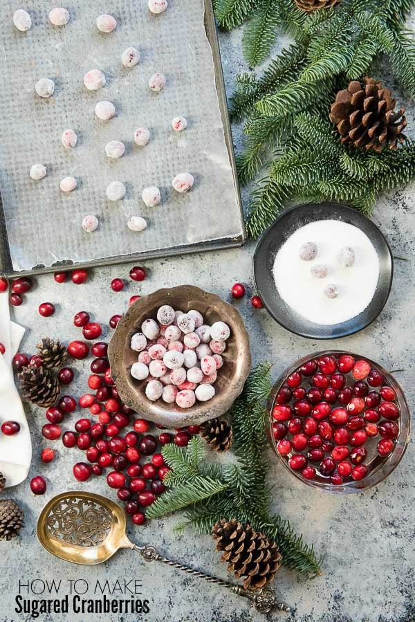  fresh and sugared cranberries in a silver bowl and on a baking sheet