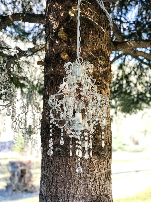 Crystal chandelier hanging from a pine tree