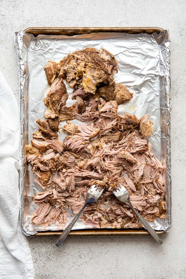 Shredded slow cooker carnitas on a rimmed baking sheet with two forks