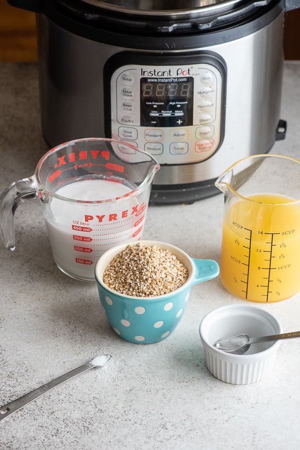 Ingredients for Instant Pot Pina Colada Steel Cut Oats recipe