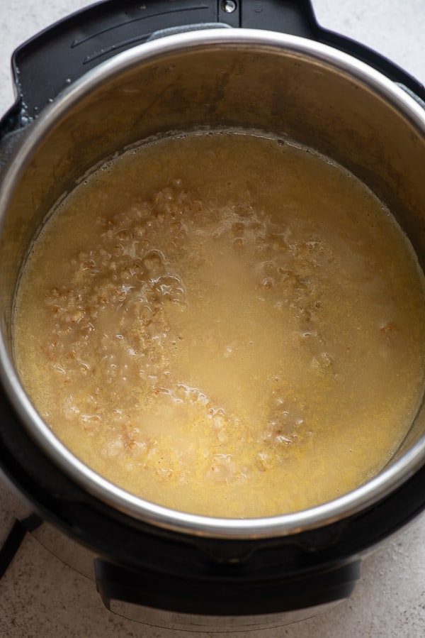 view into Instant Pot Pina Colada Steel Cut Oats before stirring