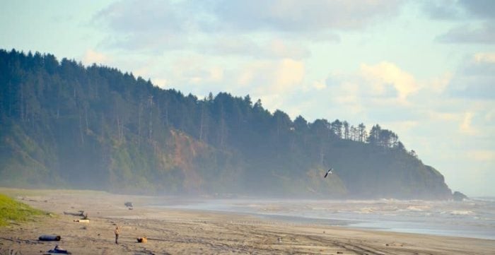 Long Beach Washington at dusk