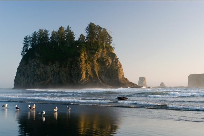 Rialto Beach Washington at dusk