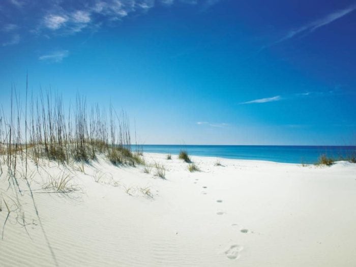 Panama City Beach (Shell Beach) Florida - one of the Best East Coast Beaches