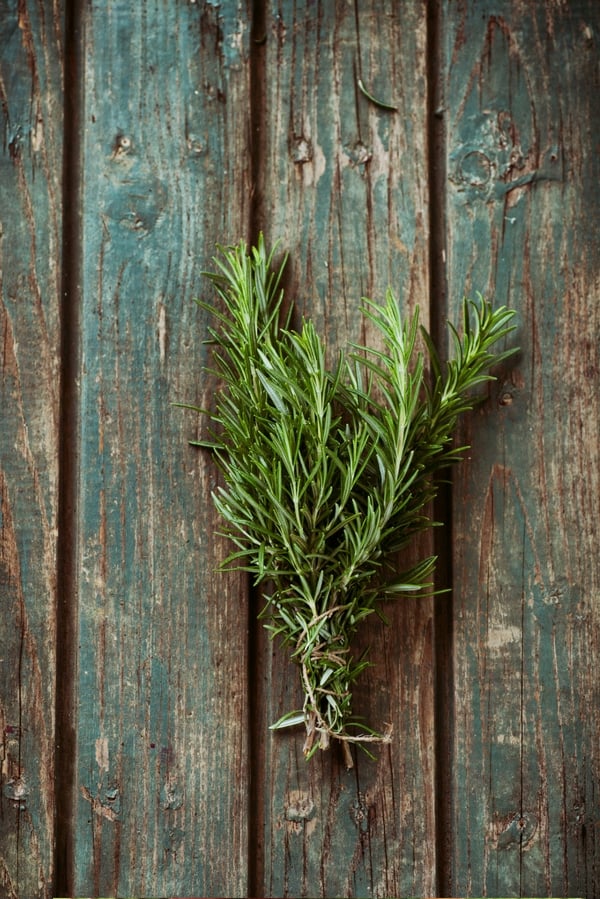 Bundle of rosemarry on weathered blue boards