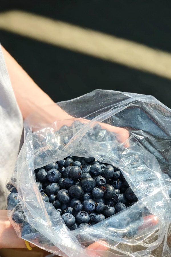 Fresh local blueberries Vancouver BC