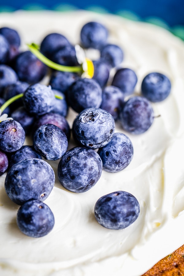 zucchini cake with blueberries garnish 