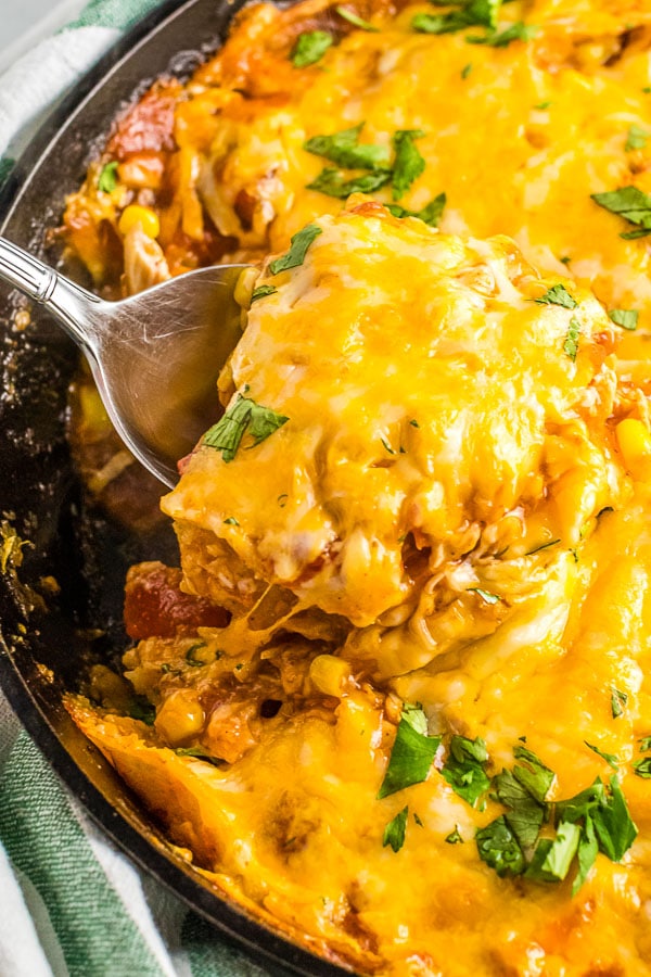 Scoop of cheesy Chicken Enchilada Skillet