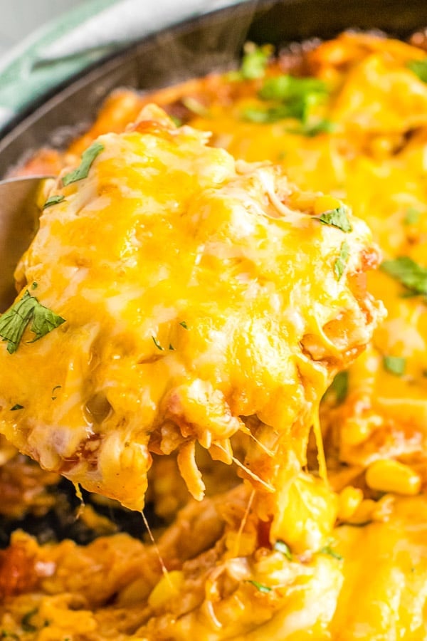 Cheesy serving of Skillet Chicken Enchiladas