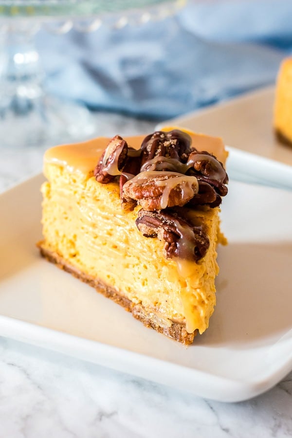 slice of pumpkin cheesecake with caramel and candied pecans on top