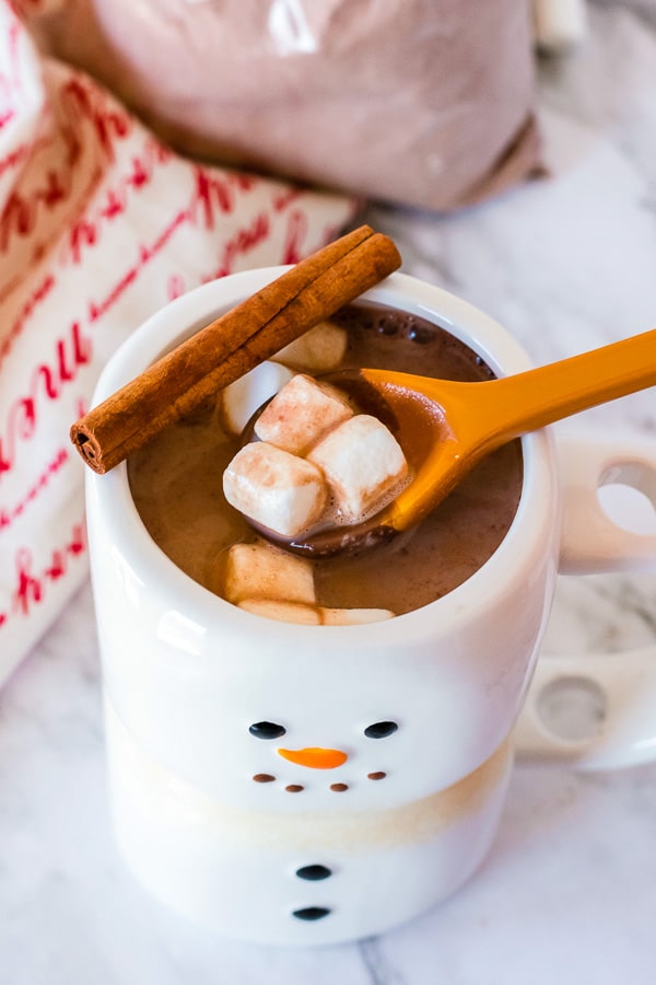 mug of hot chocolate with marshmallows 