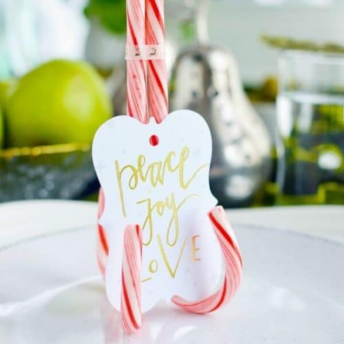 Candy Cane Place Card Holder Boulder Locavore