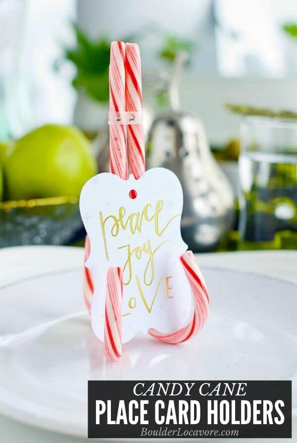 PLACE CARD HOLDER