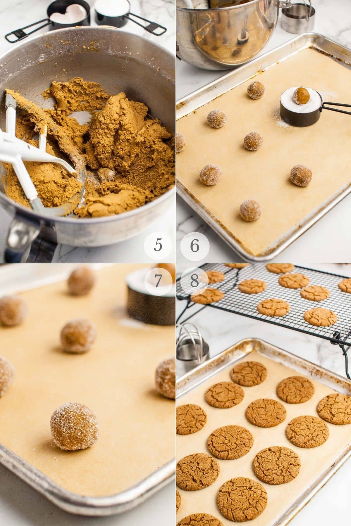 ginger snaps cookies recipe steps 5-8a