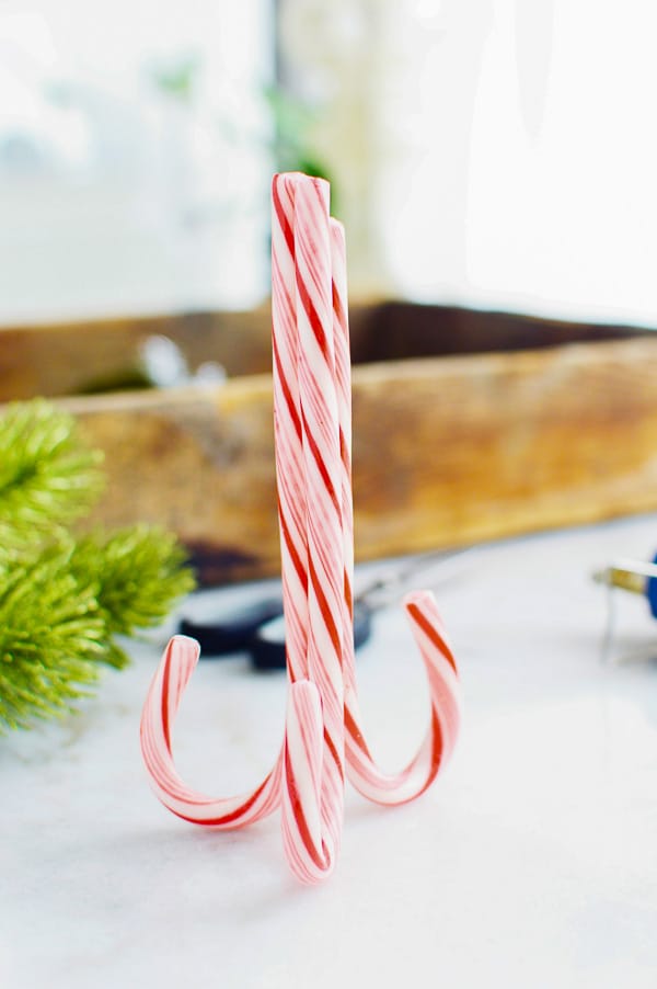 place card holder candy canes place card holder 