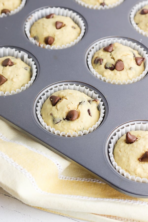 freshly baked chocolate chip muffins baked in a muffin tin