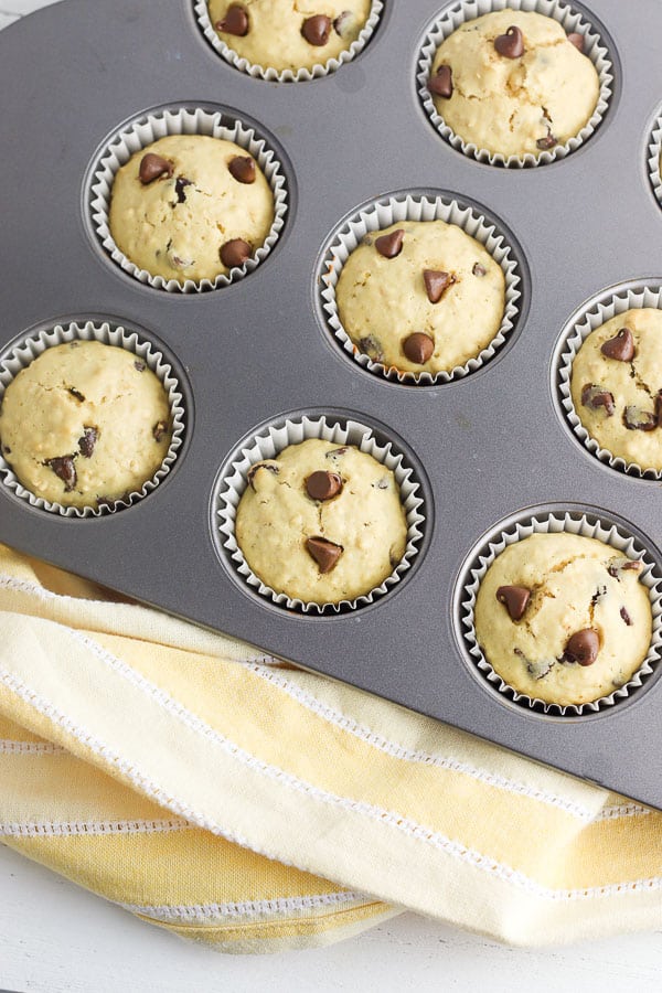 freshly baked chocolate chip muffins just out of the oven in a muffin pan