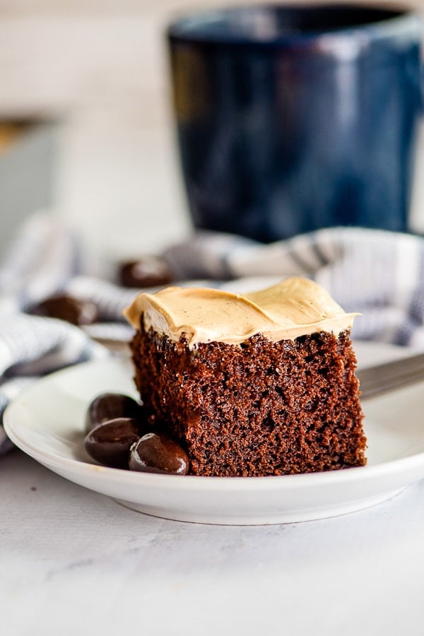 Espresso Wacky Cake slice on a plate from side 