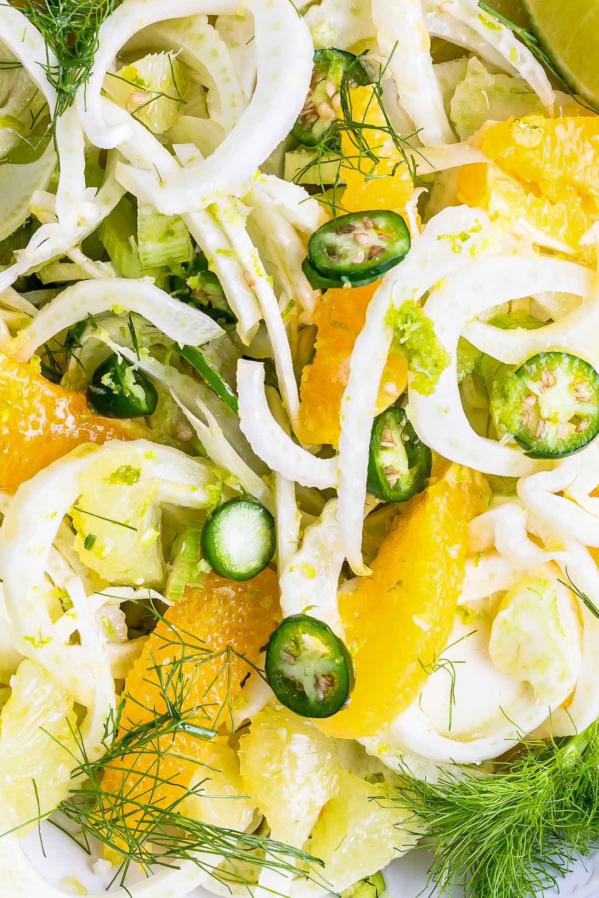 fennel orange salad close up