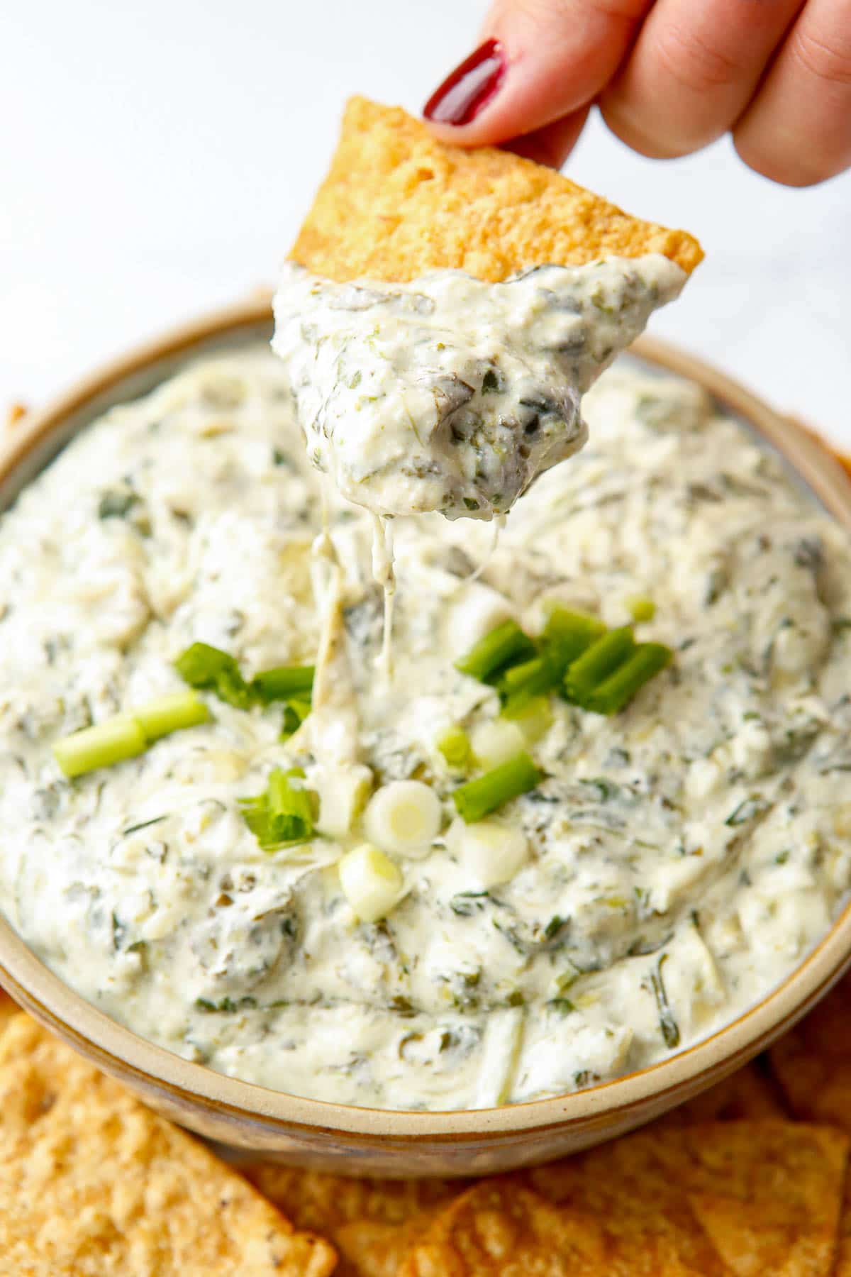 hot spinach artichoke dip with a chip