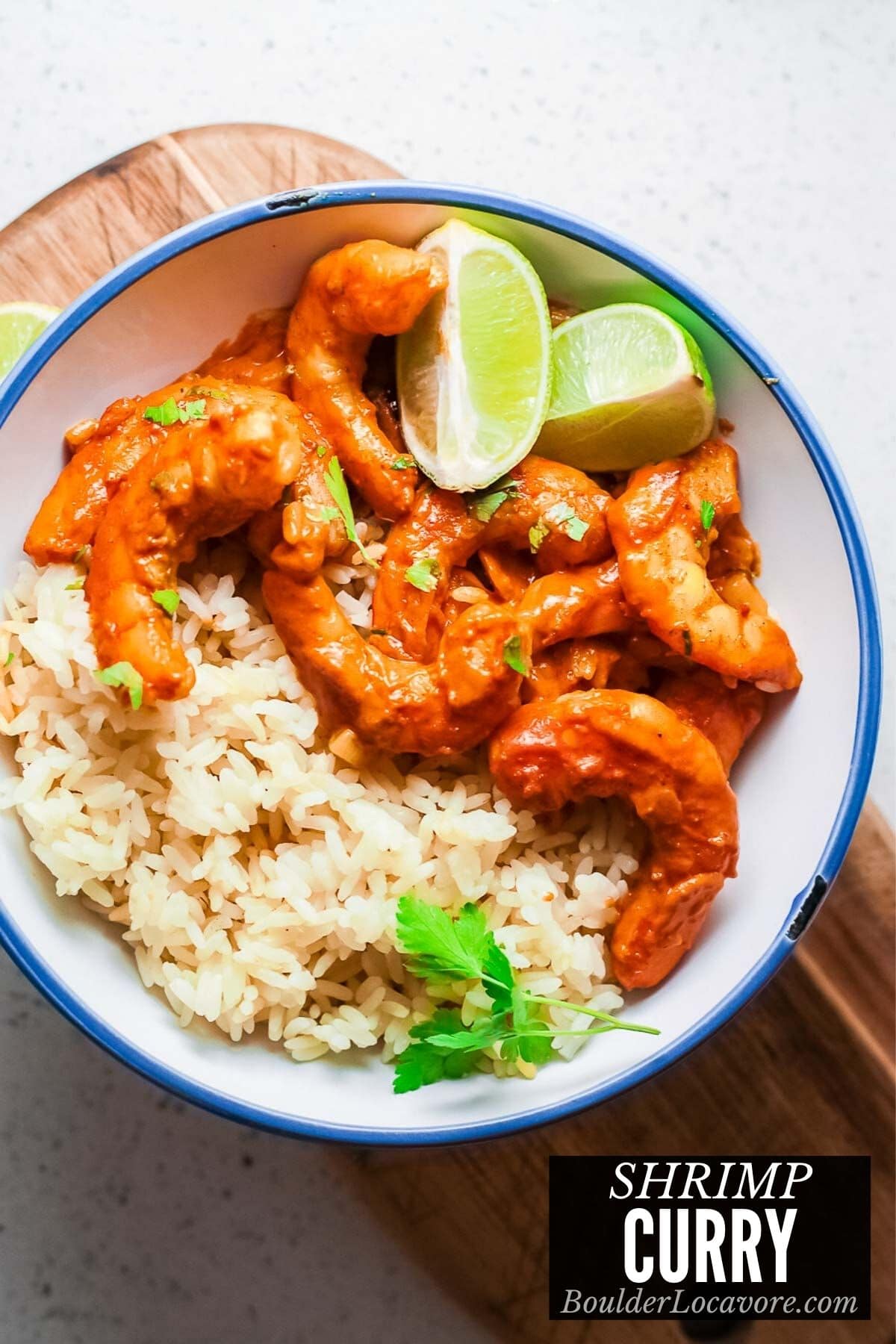 Shrimp curry in a bowl with rice