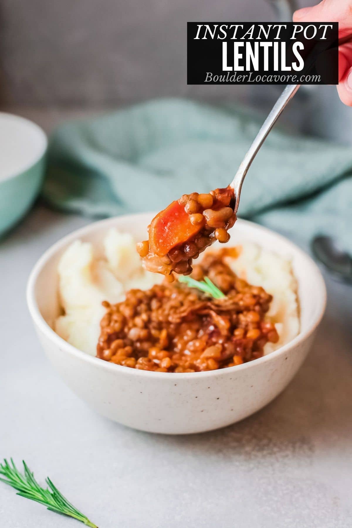 instant pot lentils title