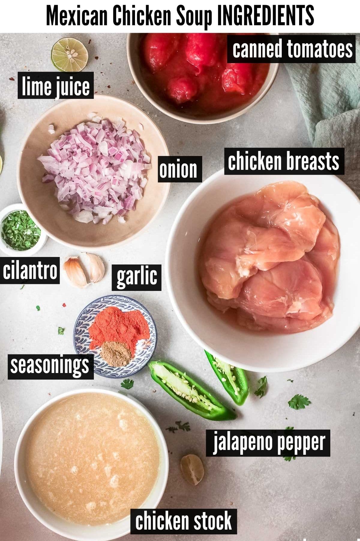 instant pot mexican chicken soup ingredients