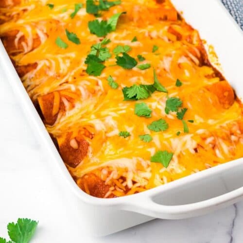 Easy Chicken Enchiladas recipe - Ready in under 1 hour! - Boulder Locavore