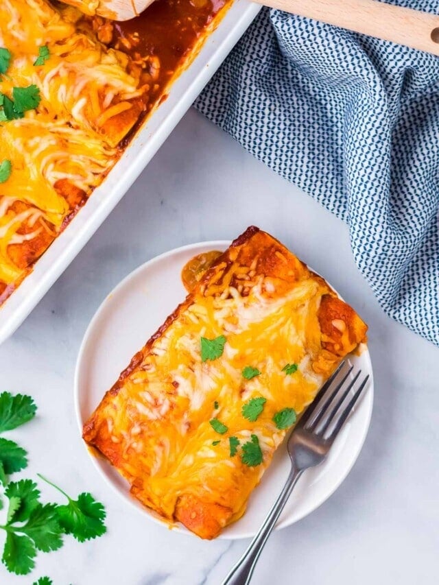 Easy Chicken Enchiladas Recipe