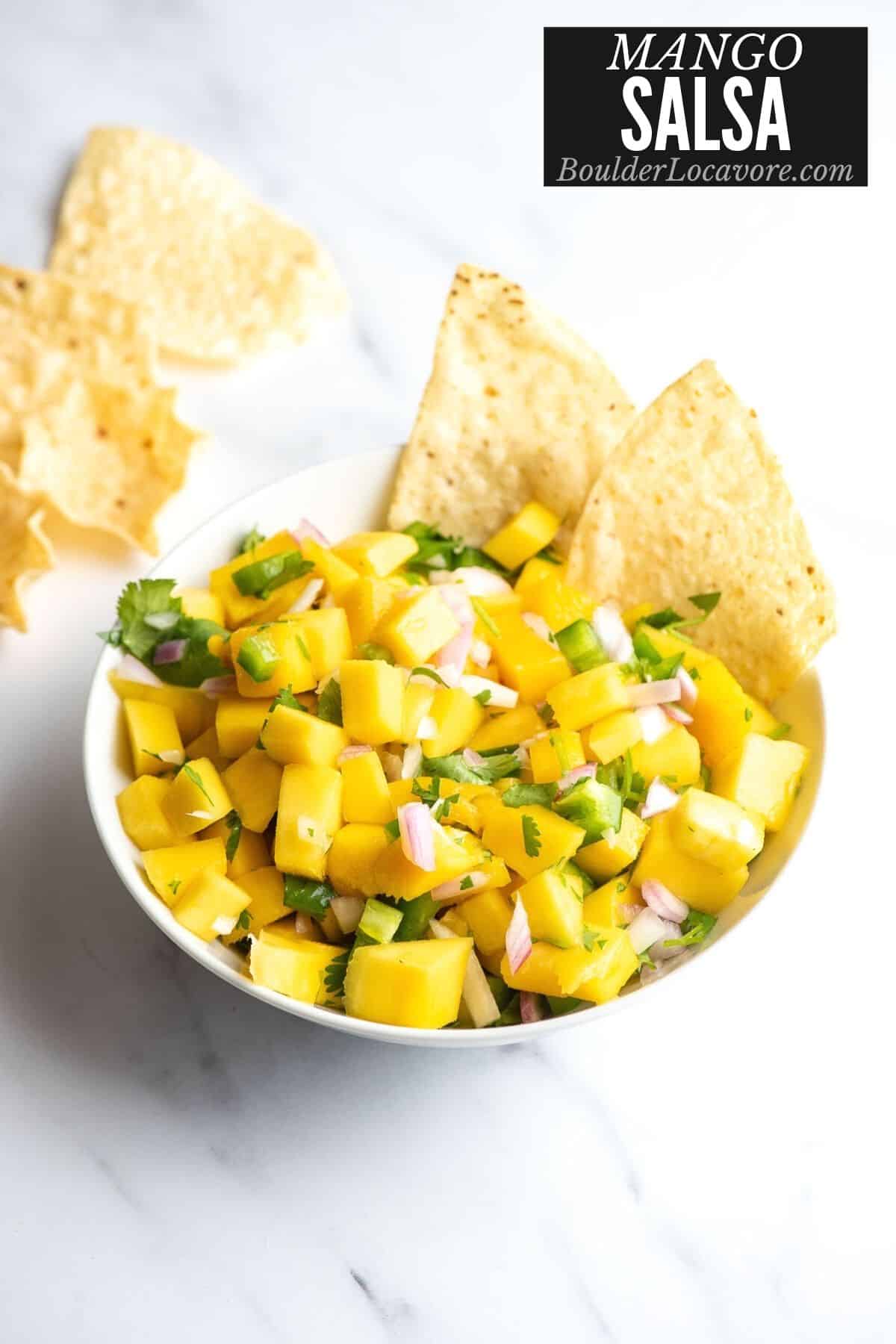 MANGO SALSA IN WHITE BOWL TITLE