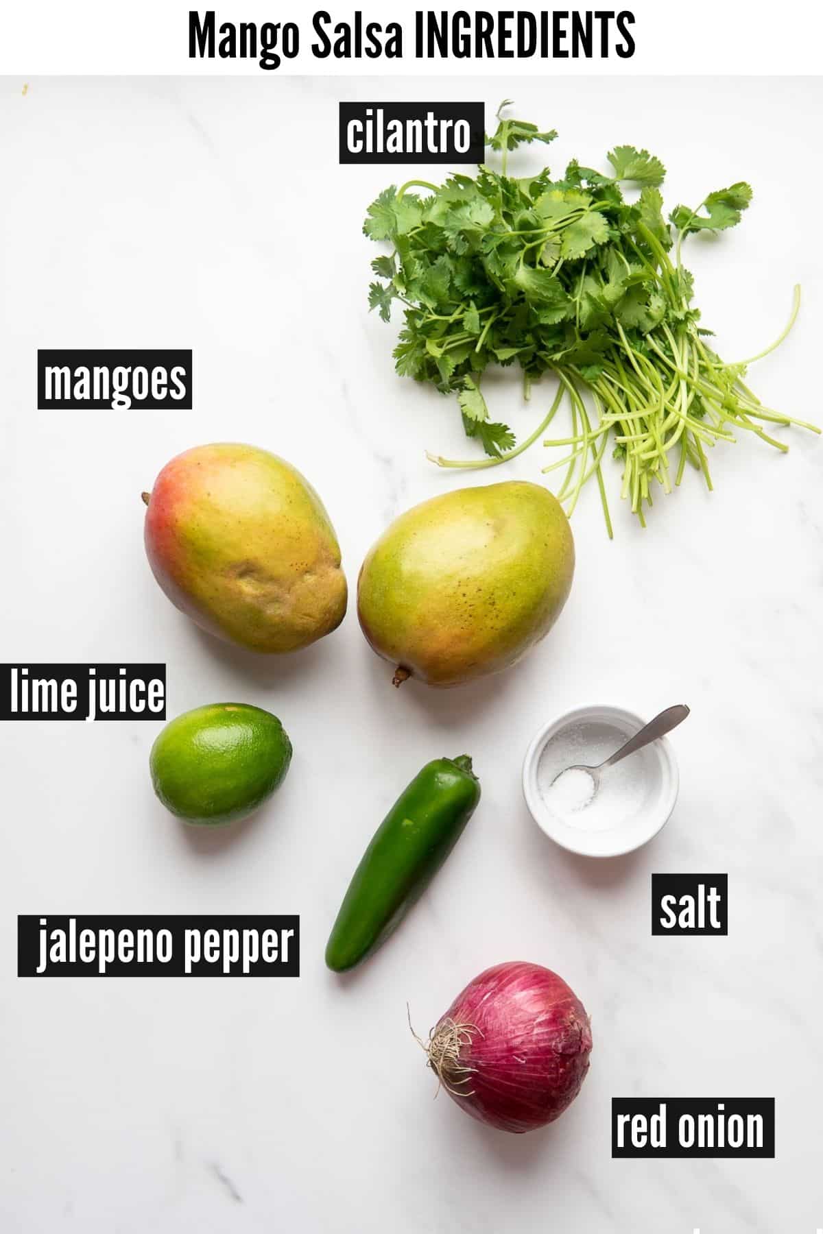 mango salsa ingredients image