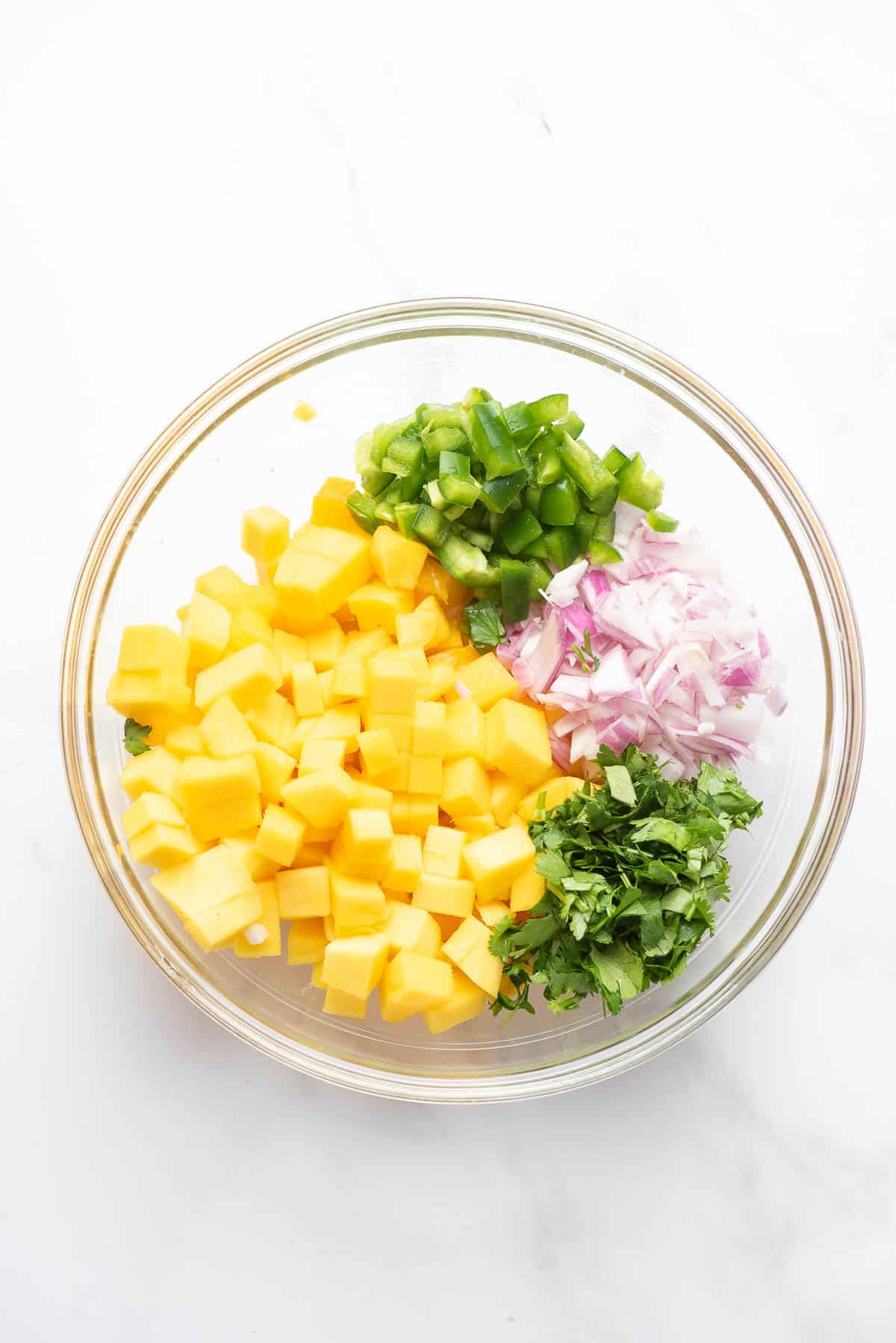 mango salsa ingredients in bowl 