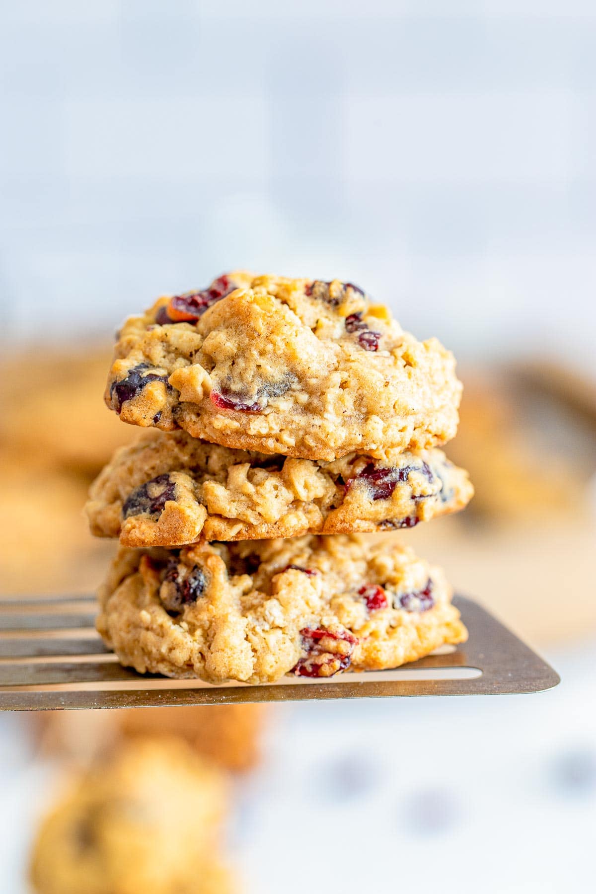 Cranberry Oatmeal Cookies an Easy Cookie recipe Boulder Locavore