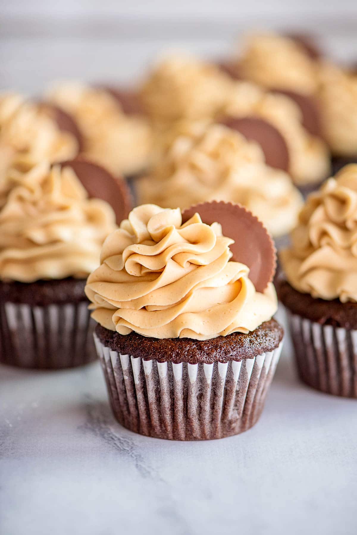 chocolate peanut butter cupcake front 