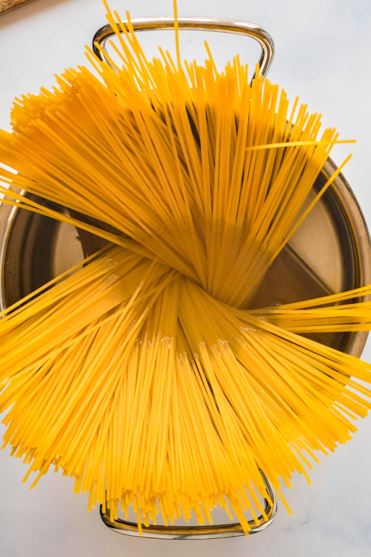 spaghetti in pot