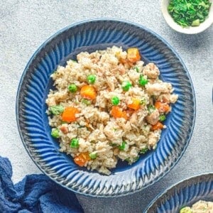 instant pot chicken and rice overhead close