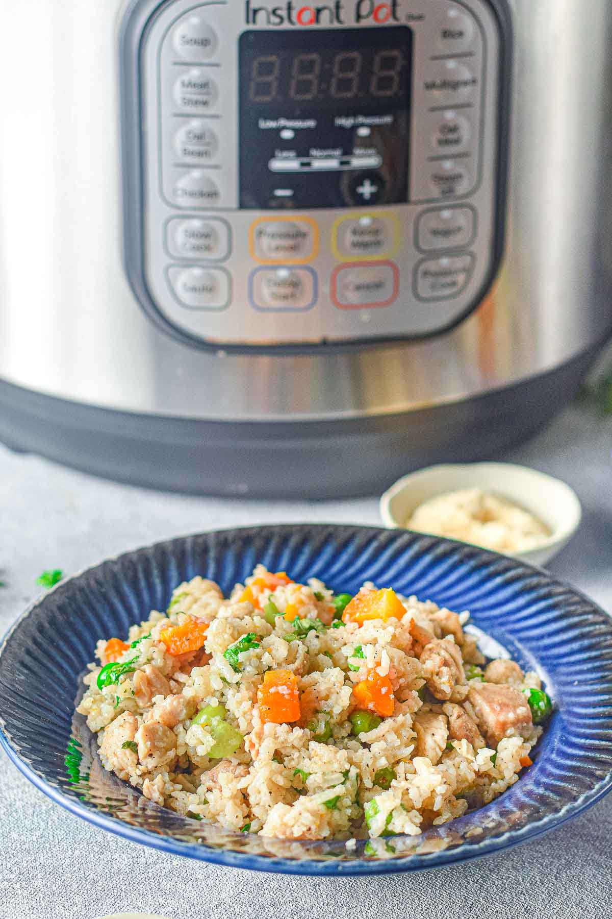 instant pot chicken and rice with Instant Pot