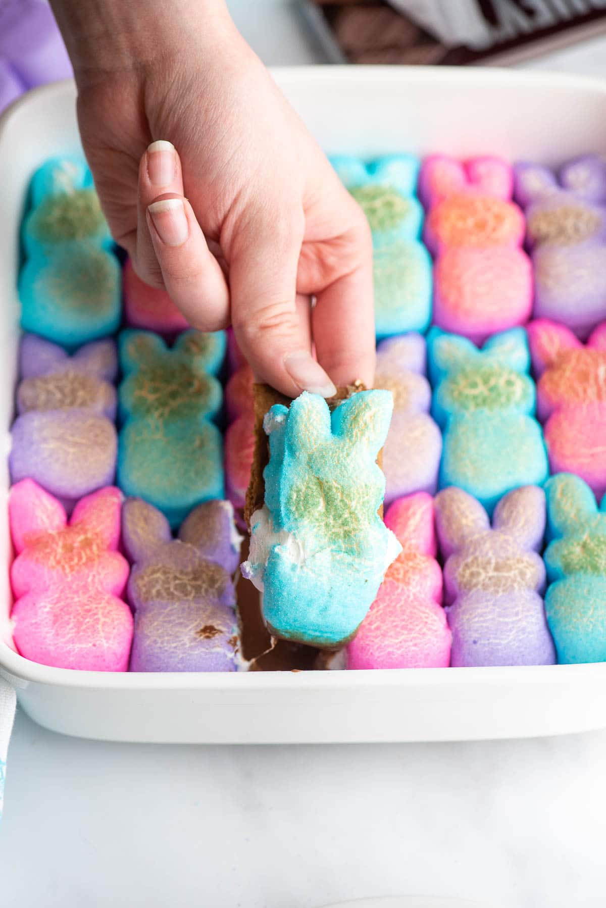 peeps smores dip blue bunny