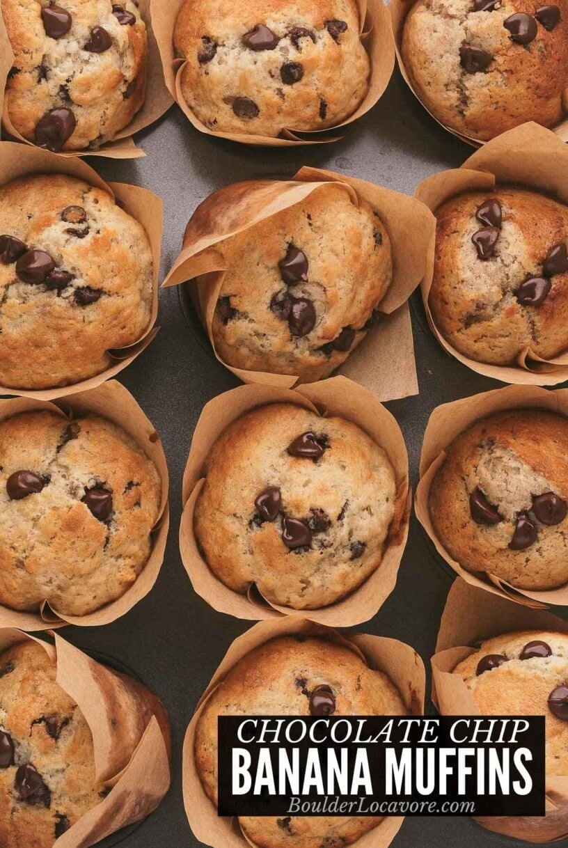 banana chocolate chip muffins in muffin pan