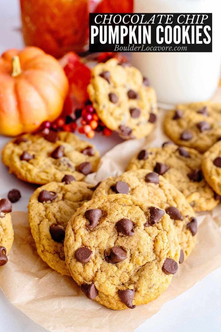 Pumpkin Chocolate Chip Cookies - Boulder Locavore