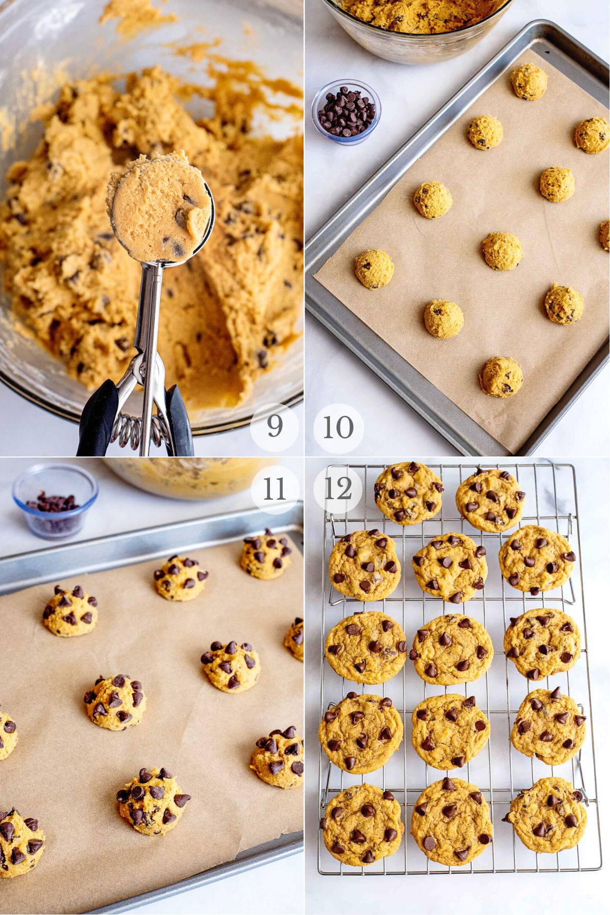 pumpkin chocolate chip cookies recipe steps 9-12