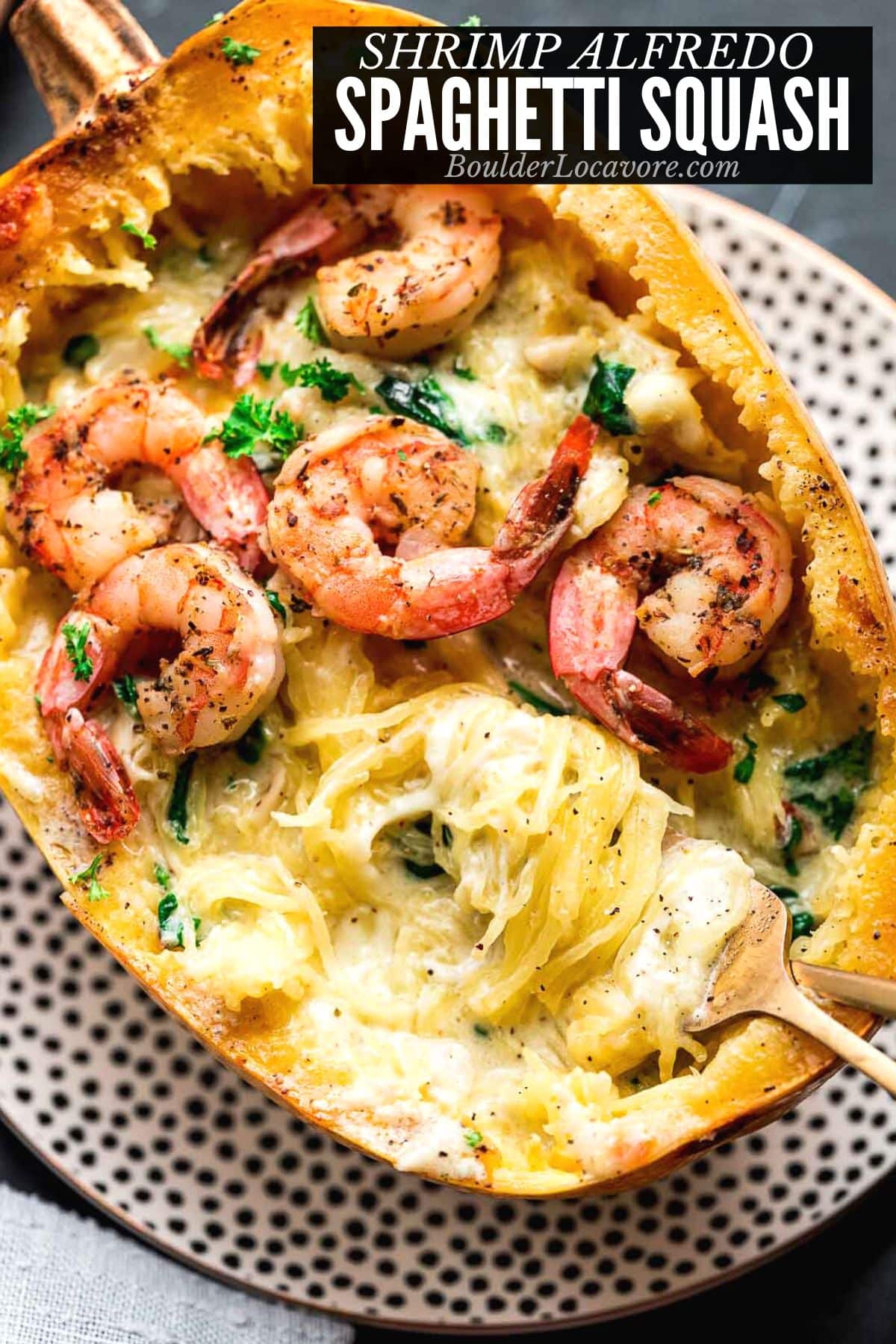 shrimp alfredo spaghetti squash on polka dot plate.