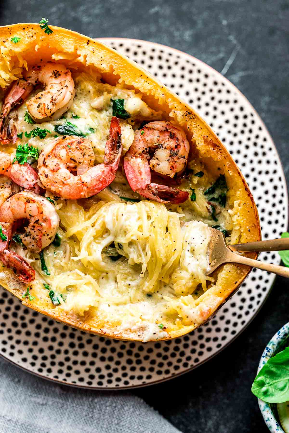 shrimp alfredo with spaghetti squash with forks.