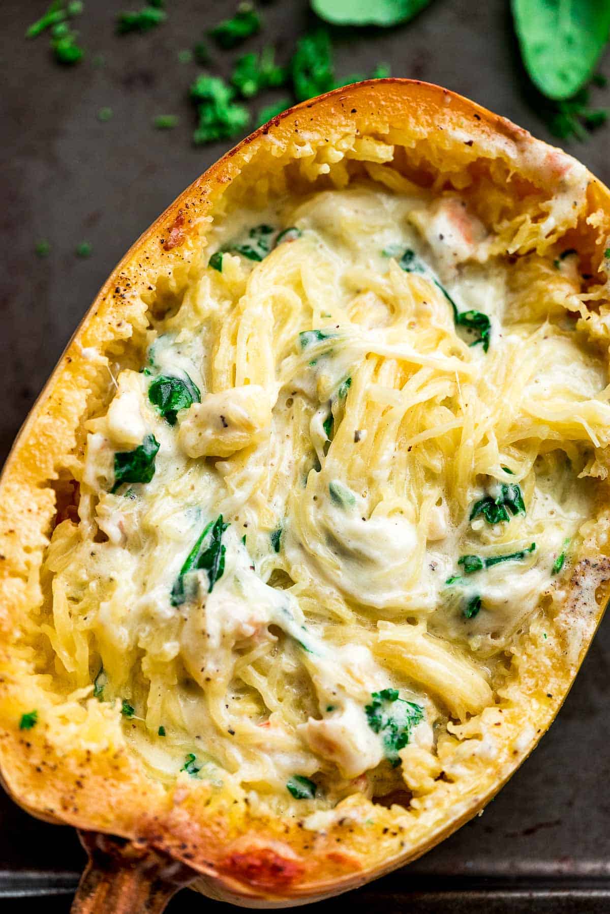 shrimp alfredo with spaghetti squash with pasta strands.