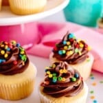 yellow cupcakes with chocolate buttercream frosting and sprinkles.