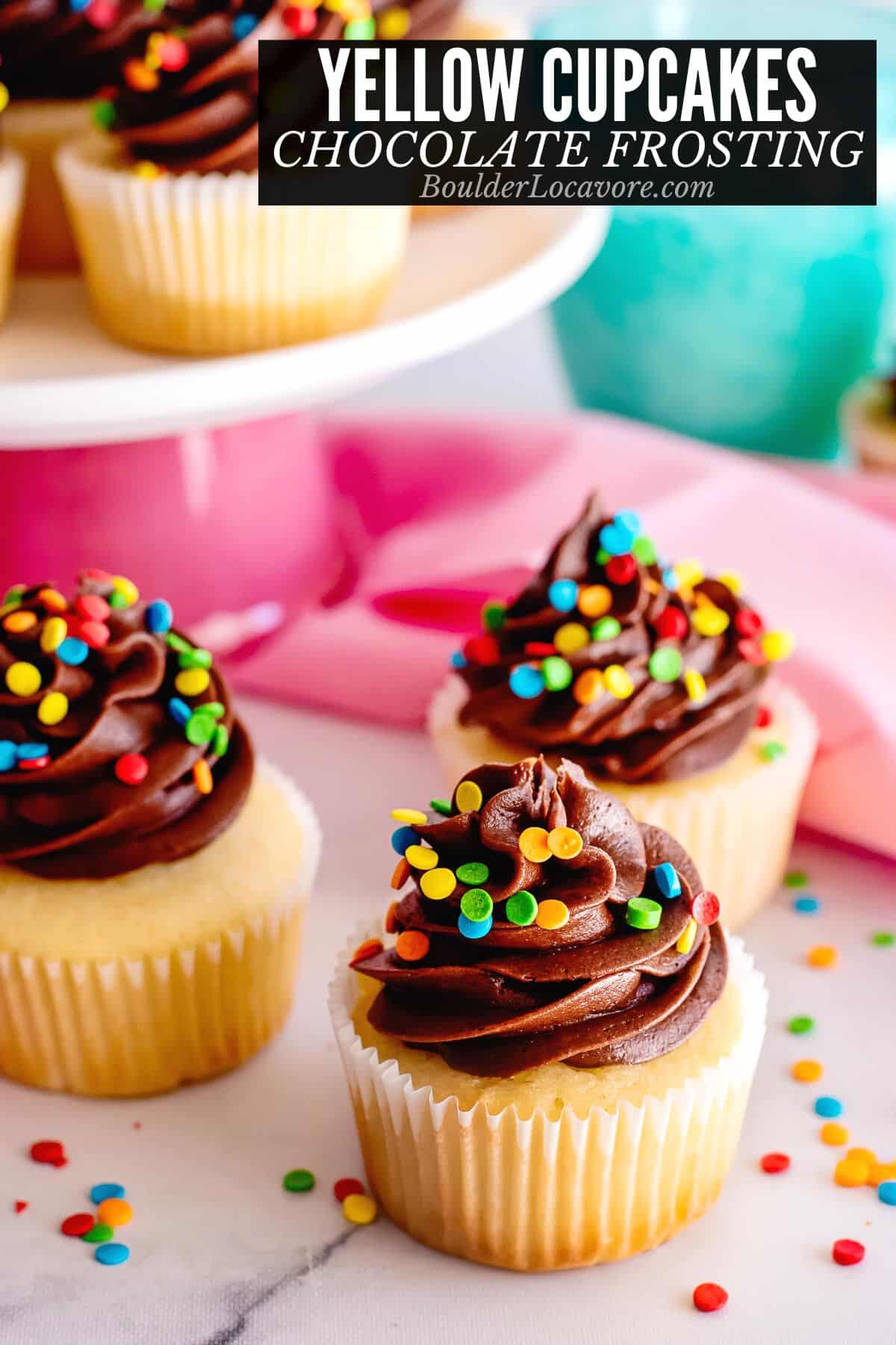 yellow cupcakes with chocolate buttercream frosting and sprinkles.